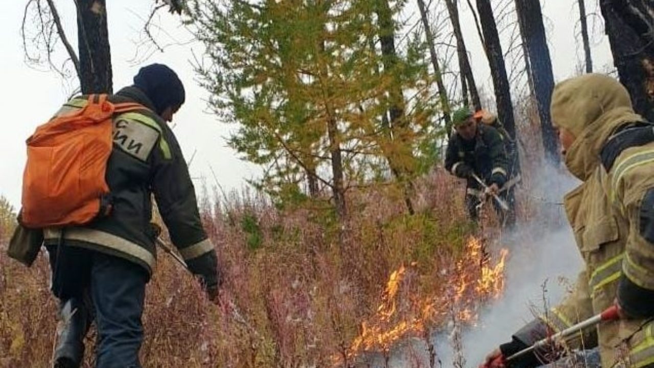 Порно видео возбужденный найден в джунглях