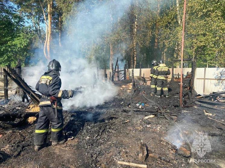 В пожаре на дачном участке в Новосибирске погиб 11-летний мальчик