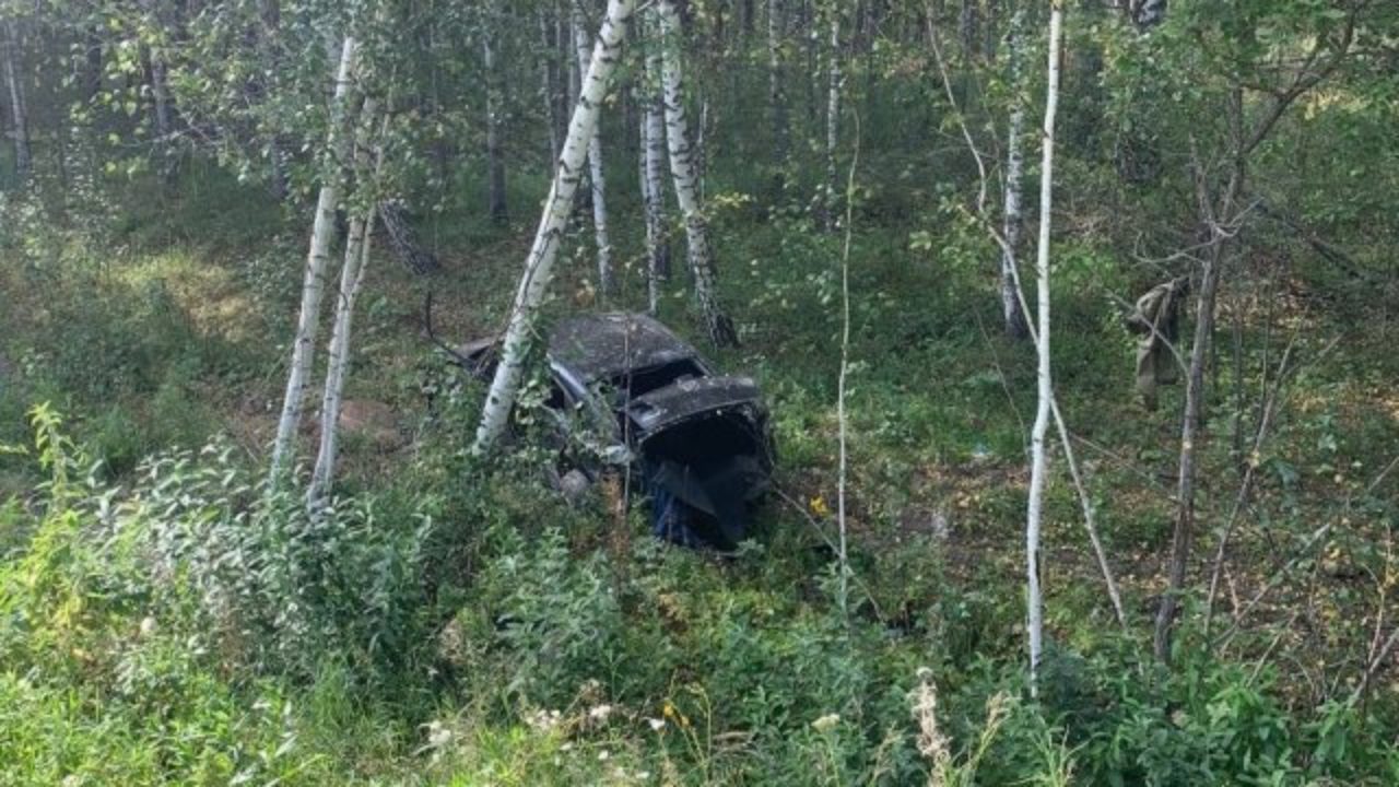 Под Новосибирском в ДТП на трассе «Сузун — Черепаново» погибли два человека  - SibMedia.ru