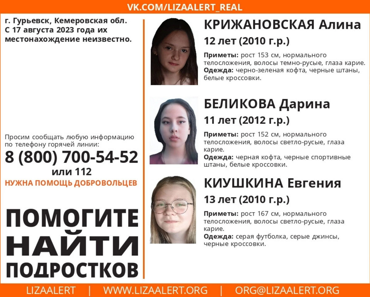 В Кемеровской области нашли трех потерявшихся в лесу школьниц - SibMedia.ru