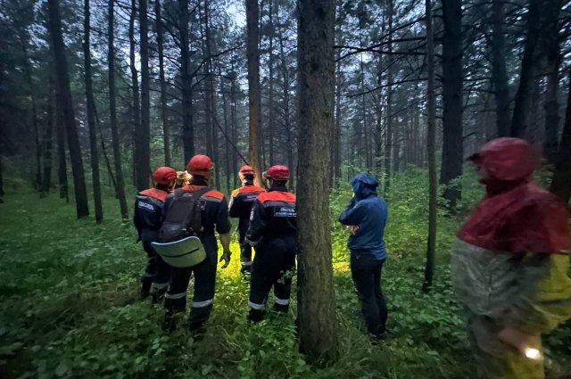 В Красноярском крае разыскивают заблудившуюся в лесу женщину