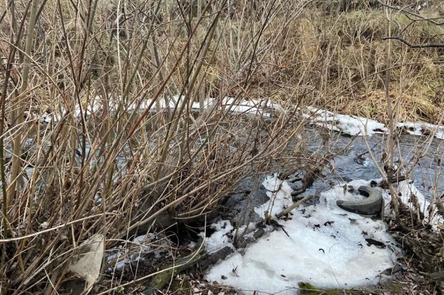 СК показал фото с места обнаружения убитого мальчика из Ачинска