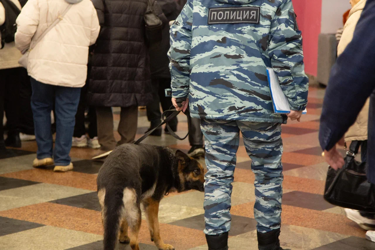 Новосибирец заложил в ТЦ муляж взрывного устройства, чтобы проверить работу МВД