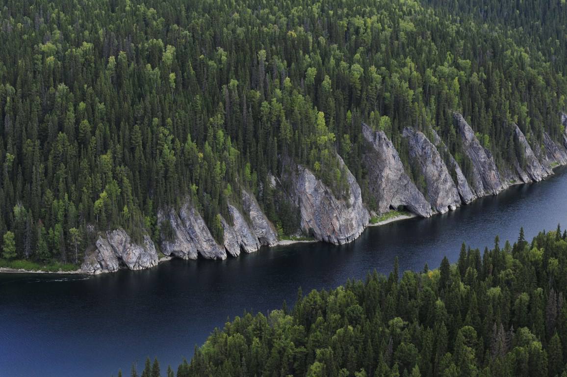 Золотодобывающая компания Красноярского края загрязнила реку