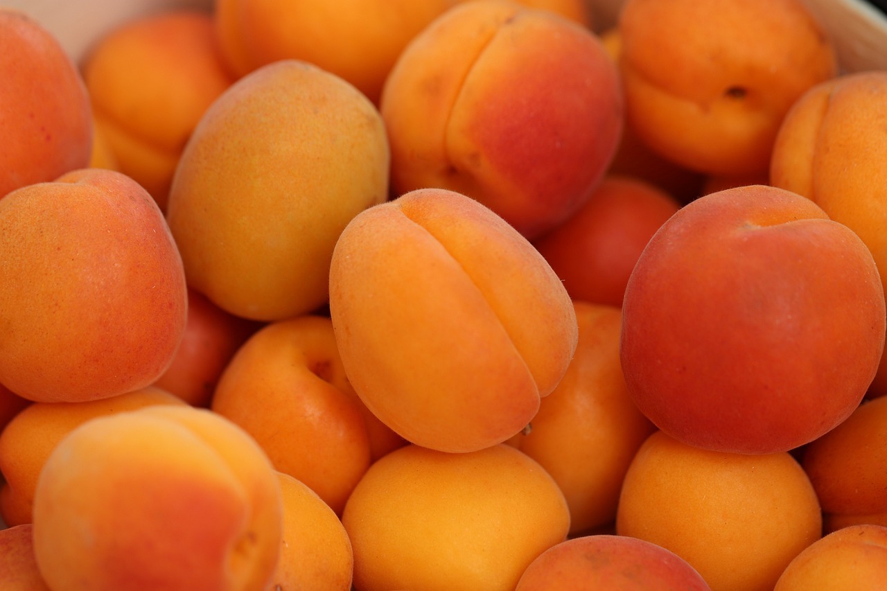 Из Узбекистана в Омскую область доставили опасные абрикосы